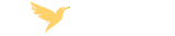YOUGU Brands