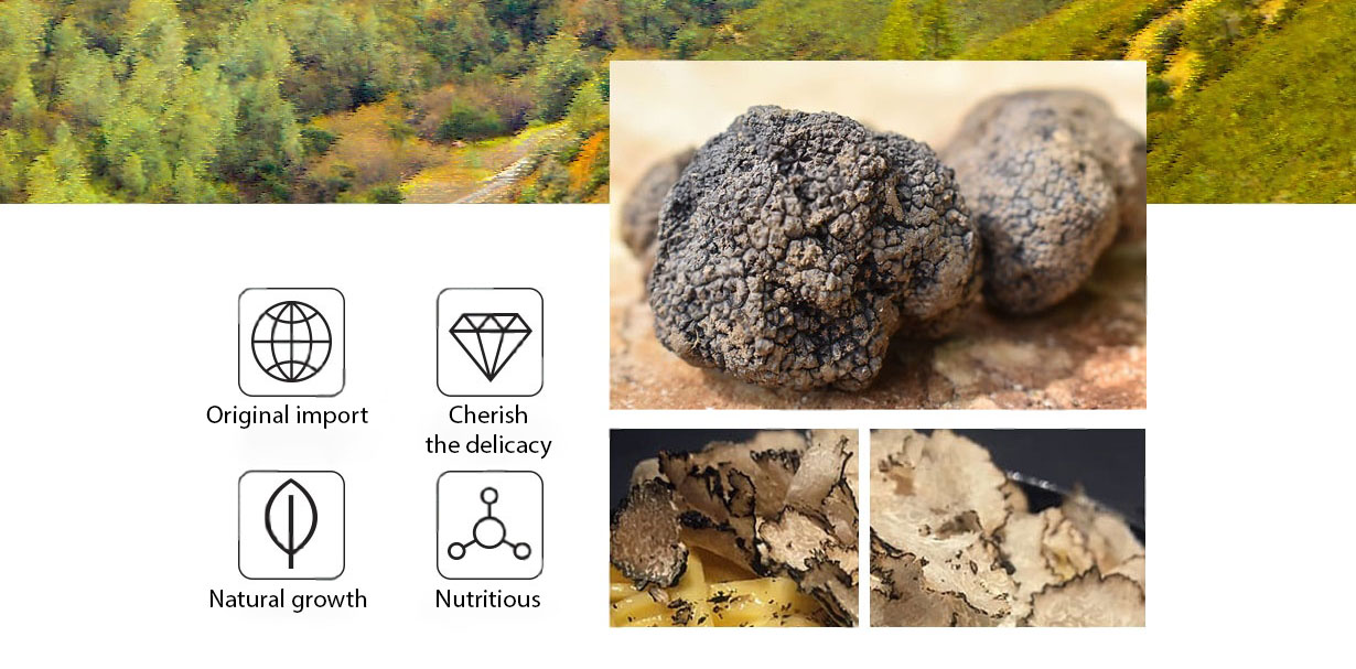 Italian Truffles
